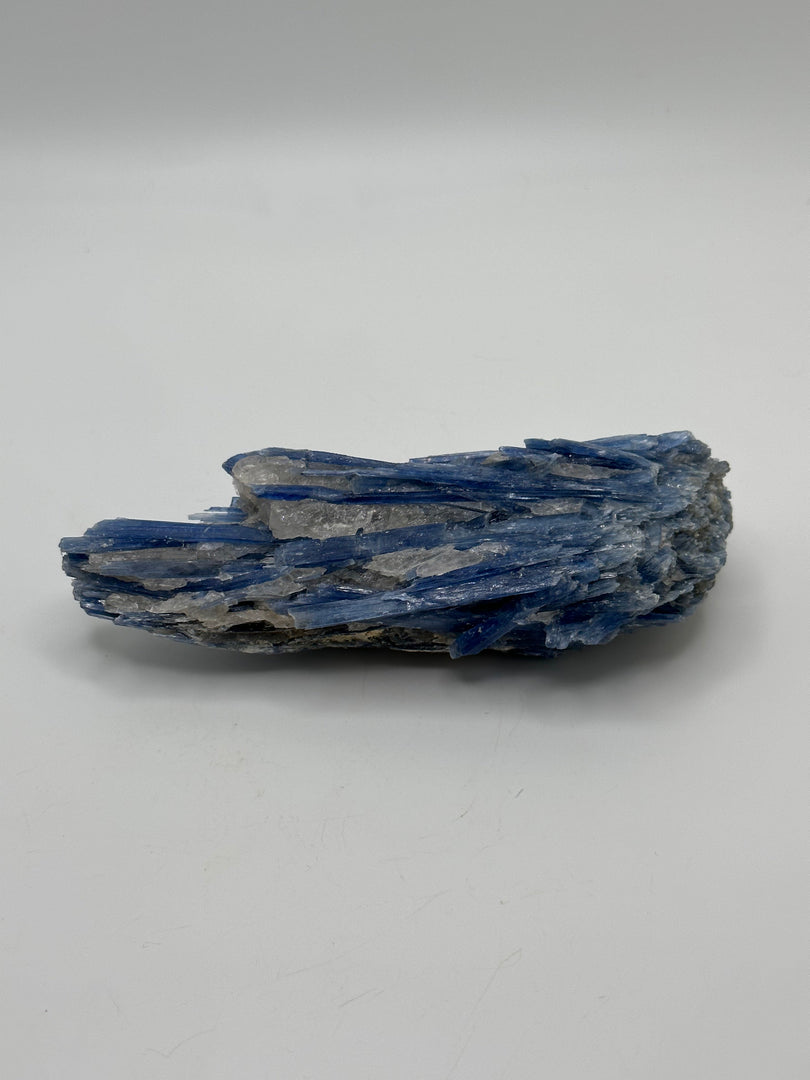Kyanite in Quartz minas grais Brazil