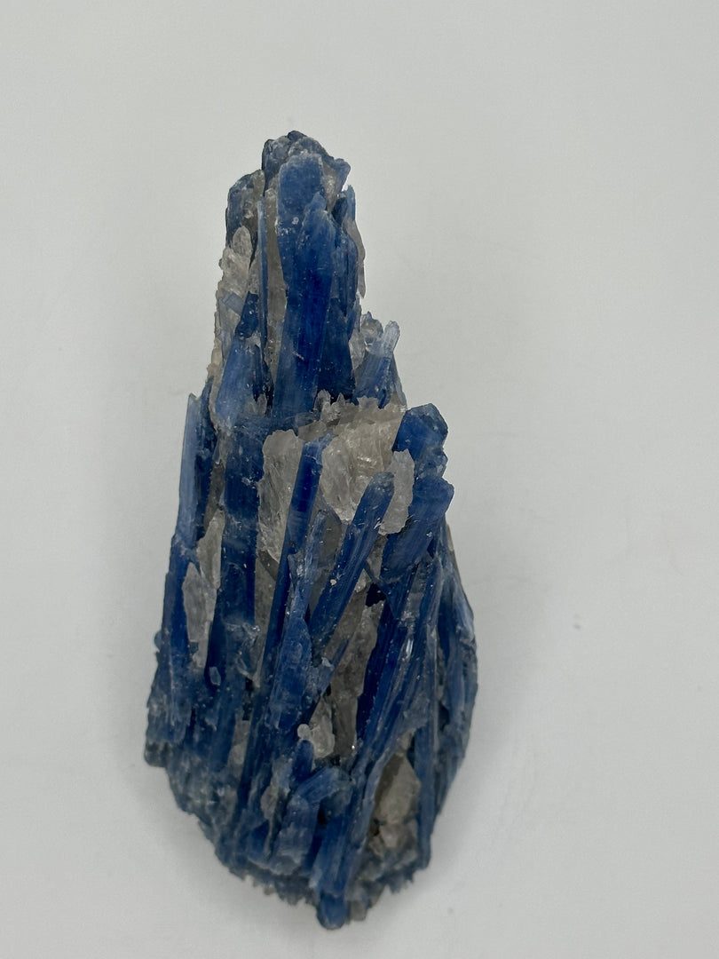 Kyanite in Quartz minas grais Brazil