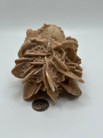 Load image into Gallery viewer, Selenite Desert Rose Mexico