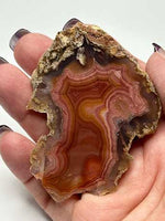 Load image into Gallery viewer, Laguna Agate / Coyamito Agate Mexico Chihuahua, Mexico