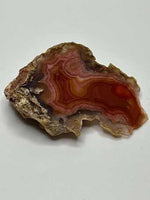 Load image into Gallery viewer, Laguna Agate / Coyamito Agate Mexico Chihuahua, Mexico
