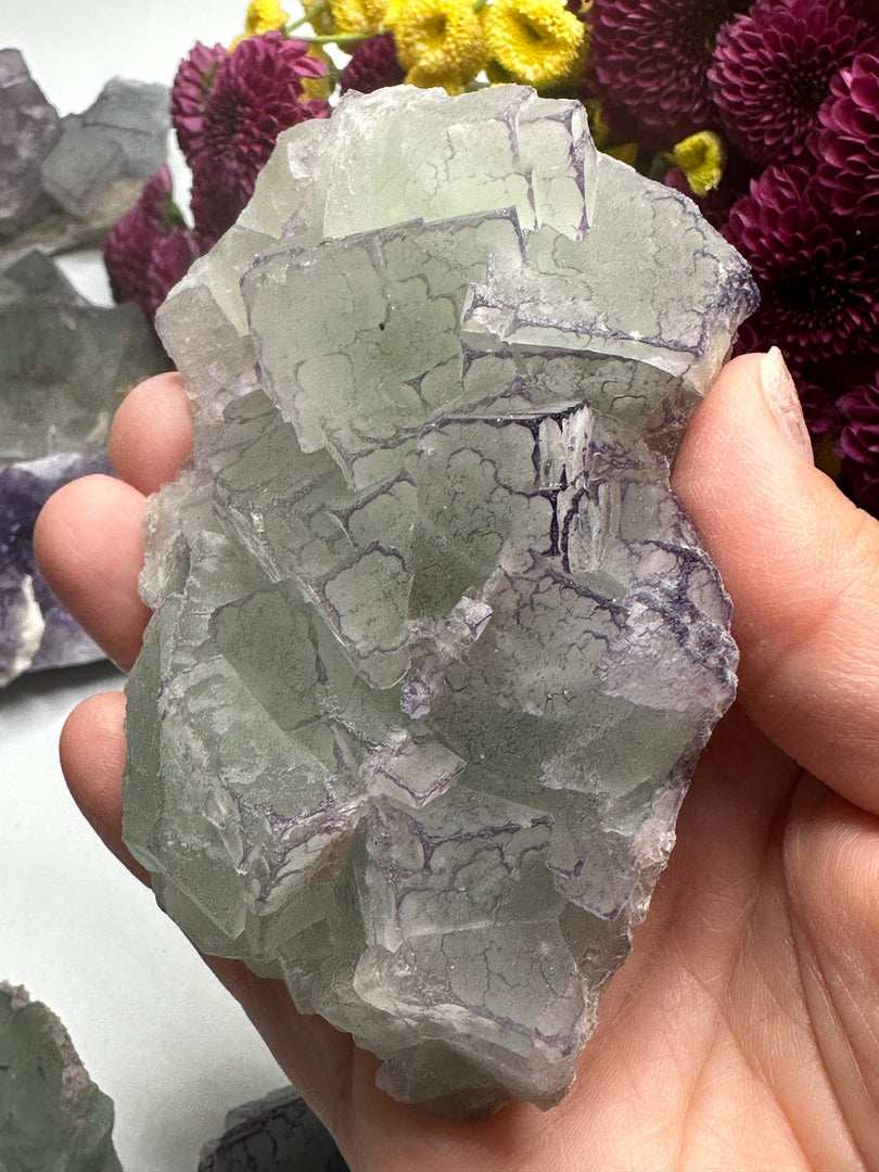 Fluorite with Purple Edges from Qinglong Mine, Guizhou, China  (QR Fluorite)