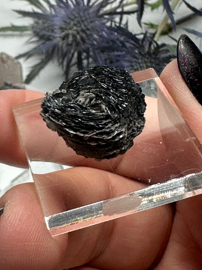 Hematite Roses Huanggangliang, Inner Mongolia, China (Some with quartz and calcite)